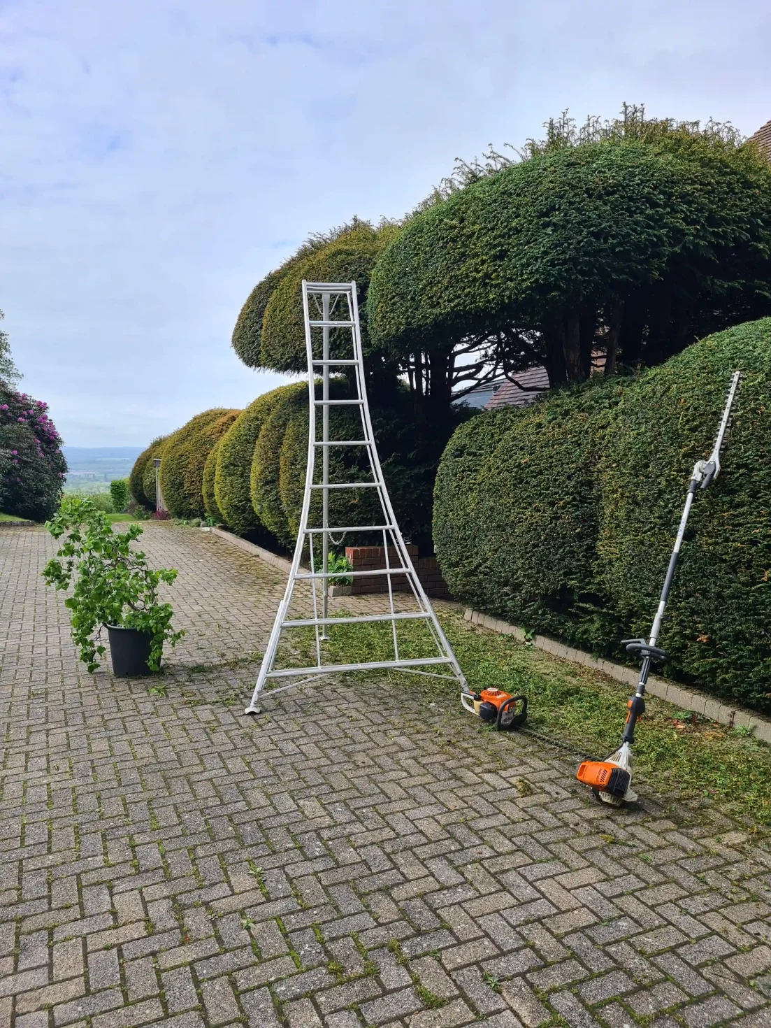 Garden Maintenance